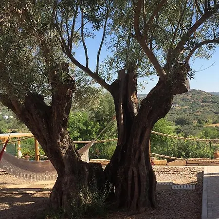 Monte Da Alfarrobeira Villa