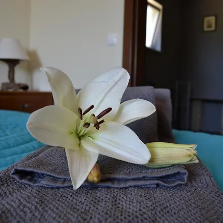 Monte Da Alfarrobeira