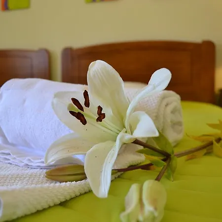 Monte Da Alfarrobeira * 埃斯托伊