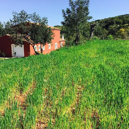 Monte Da Alfarrobeira Villa *